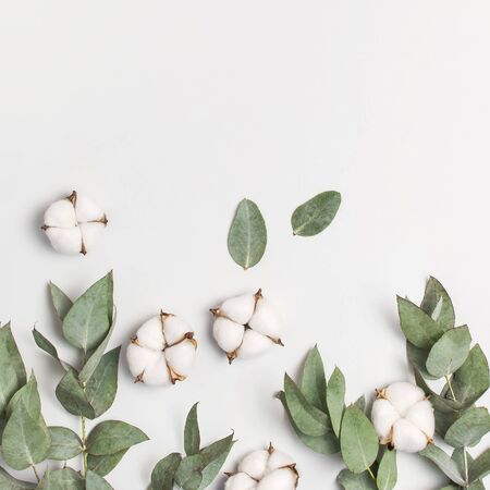 Flat lay flowers composition. Cotton flowers and fresh eucalyptus twigs on light gray background. Top view, copy space. Delicate white cotton flowers. Floral background, greeting card.の写真素材
