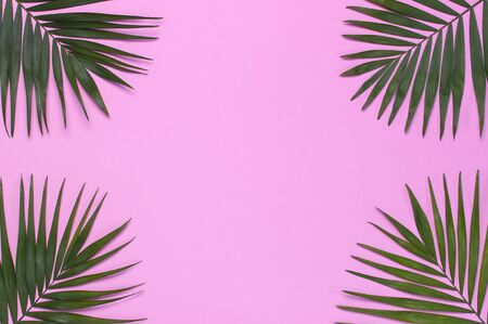 Frame of tropical palm leaves on pastel pink background. Flat lay, top view, copy space. Summer background, nature. Creative minimal background with tropical leaves. Leaf pattern.の写真素材