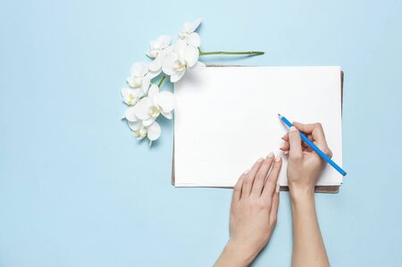Woman's hands with gentle manicure holding pencil, blank white sheet of paper, branch of Phalaenopsis orchid flowers on blue background top view flat lay. Planning concept. Mockup for your design.の写真素材