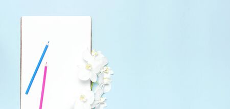 Branch of Phalaenopsis orchid flowers, Blank white sheet of paper, colour pencils on blue background top view flat lay Mockup for your design Planning concept. Female desktop Tropical flower.の写真素材