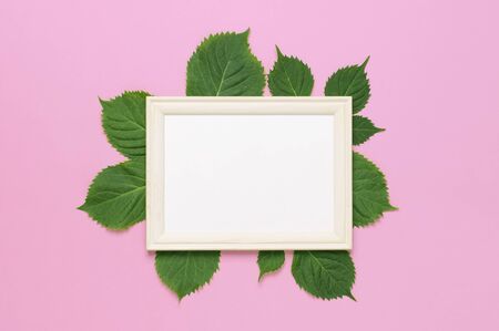 Flowers composition. White wooden photo frames with blank paper, fresh green hydrangea leaves on pink background. Flat lay top view copy space. Flower card, greeting, holiday mockup. Valentine's Day.の写真素材