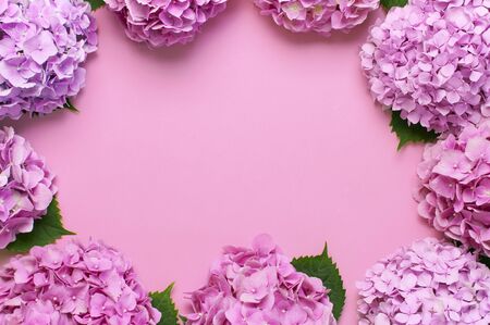 Frame of Beautiful flowers of pink hydrangea with green leaves on pink background top view flat lay copy space. Flower card. Holiday, congratulations, happy mothers day. International Women's dayの写真素材