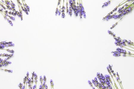 Flowers composition. Frame of fresh flowers of purple lavender on light gray background. Flat lay top view copy space. Lavender, floral background, flower card. Minimal conceptの写真素材