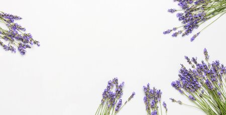 Flowers composition. Frame of fresh flowers of purple lavender on light gray background. Flat lay top view copy space. Lavender, floral background, flower card. Minimal conceptの写真素材