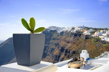 White architecture on Santorini island, Greece, Aegean sea, Europe. Beautiful summer landscape, sea view. Green cactus in the pot on the streets. Famous travel destination.の写真素材