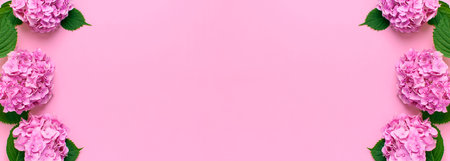 Frame of Beautiful flowers of pink hydrangea with green leaves on pink background top view flat lay...