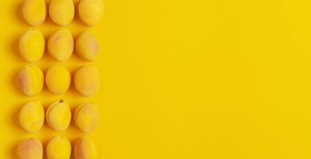 Ripe fresh apricots fruits on yellow background. Flat lay, top view, copy space.の写真素材