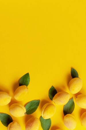 Ripe fresh apricots fruits with green leaves on yellow background. Flat lay, top view, copy space.の写真素材