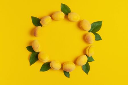 Ripe fresh apricots fruits with green leaves in shape of circle on yellow background. Flat lay, top view, copy space.の写真素材