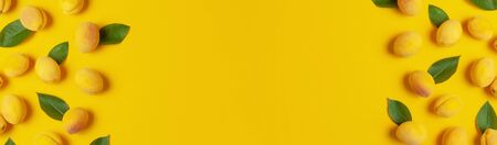 Ripe fresh apricots fruits with green leaves on yellow background. Flat lay, top view, copy space.の写真素材