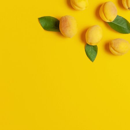 Ripe fresh apricots fruits with green leaves on yellow background. Flat lay, top view, copy space.の写真素材