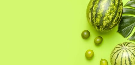 Ripe watermelon berry, whole limes, tropical leaf monstera on green backgroundの写真素材