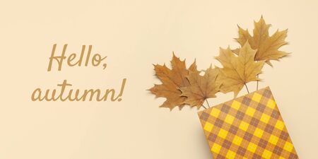 Autumn, fall concept. Checked orange gift paper bag and autumn dried leaves on pastel beige background.の写真素材