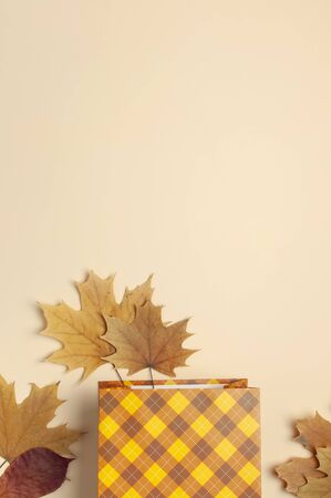 Autumn, fall concept. Checked orange gift paper bag and autumn dried leaves on pastel beige background.の写真素材