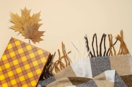Autumn, fall concept. Checked orange gift paper bag, warm cozy blanket plaid, autumn dried leaves on pastel beige background.の写真素材