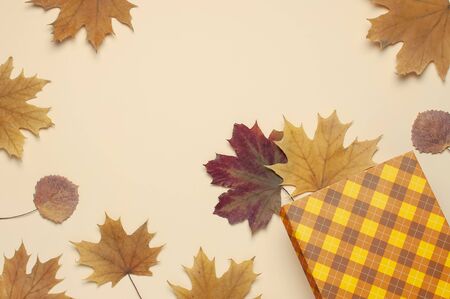 Autumn, fall concept. Checked orange gift paper bag and autumn dried leaves on pastel beige background.の写真素材