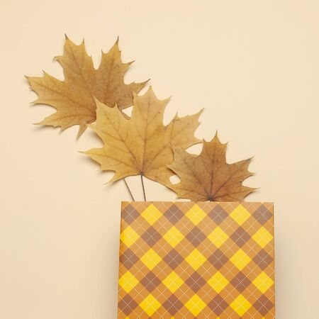 Autumn, fall concept. Checked orange gift paper bag and autumn dried leaves on pastel beige background. Flat lay, top view, copy space.の写真素材