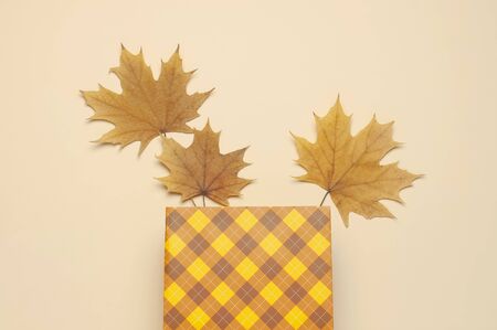 Autumn, fall concept. Checked orange gift paper bag and autumn dried leaves on pastel beige background. Flat lay, top view, copy space.の写真素材