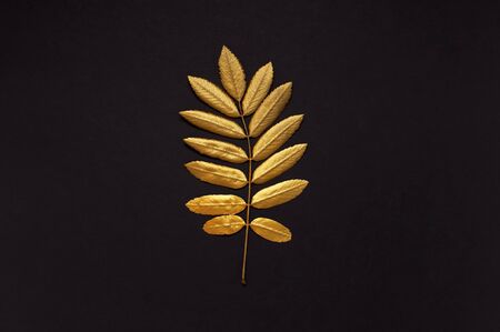 Flat lay creative autumn composition. Golden leaves on black background top view copy space. Fall concept. Autumn background. Minimal concept idea, floral design.の写真素材