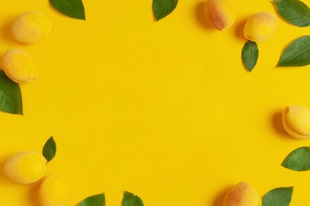 Frame from ripe fresh apricots fruits with green leaves on yellow background. Flat lay, top view, copy space. Fresh organic apricots, diet vegan food. Creative Apricot pattern. Harvest concept.の写真素材