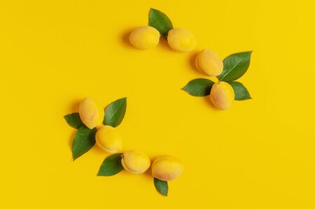 Ripe fresh apricots fruits with green leaves on yellow background. Flat lay, top view, copy space. Fresh organic apricots, diet vegan food. Creative Apricot pattern. Harvest concept.の写真素材