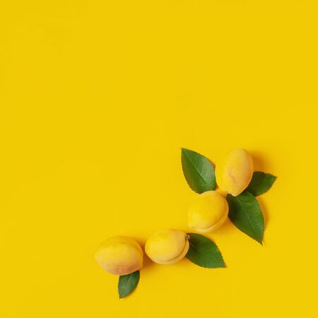 Ripe fresh apricots fruits with green leaves on yellow background. Flat lay, top view, copy space. Fresh organic apricots, diet vegan food. Creative Apricot pattern. Harvest concept.の写真素材