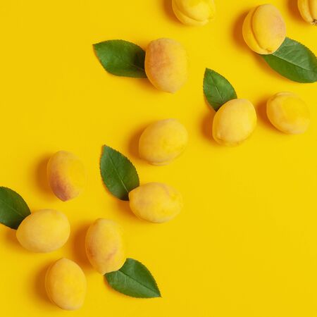 Ripe fresh apricots fruits with green leaves on yellow background. Flat lay, top view, copy space. Fresh organic apricots, diet vegan food. Creative Apricot pattern. Harvest concept.の写真素材