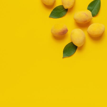 Ripe fresh apricots fruits with green leaves on yellow background. Flat lay, top view, copy space. Fresh organic apricots, diet vegan food. Creative Apricot pattern. Harvest concept.の写真素材