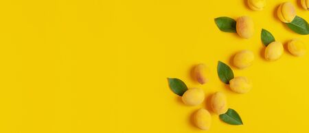 Ripe fresh apricots fruits with green leaves on yellow background. Flat lay, top view, copy space. Fresh organic apricots, diet vegan food. Creative Apricot pattern. Harvest concept.の写真素材
