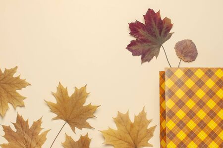 Autumn, fall concept. Checked orange gift paper bag and autumn dried leaves on pastel beige background. Flat lay, top view, copy space. Creative Autumn composition. Halloween, Thanksgiving day.の写真素材