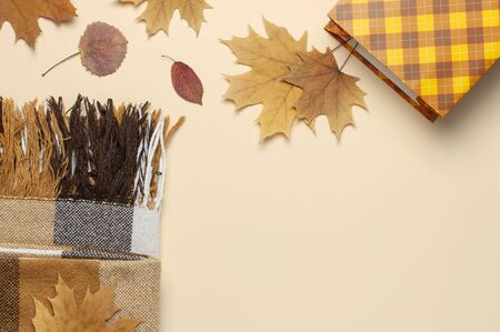 Autumn, fall concept. Checked orange gift paper bag, warm cozy blanket plaid, autumn dried leaves on pastel beige background. Flat lay, top view, copy space. Creative Autumn composition.の写真素材