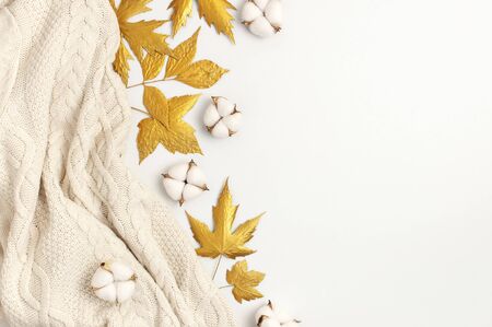 Flat lay autumn composition. Knitted woolen light beige sweater or plaid, golden dry leaves, cotton flowers on white background top view copy space. Autumn, fall concept.の写真素材