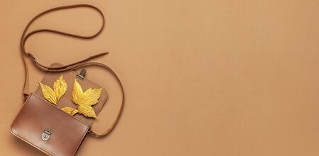 Brown leather women bag and golden autumn leaf on brown background top view flat lay copy space. Fashionable women's accessories. Autumn Fashion Concept. Stylish Lady Clothes, fall Leaves.の写真素材