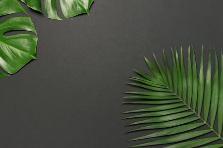 Tropical palm leaves and monstera leaf on gray black background. Flat lay, top view, copy space. Summer background, nature. Creative minimal background with tropical leaves. Leaf pattern.の写真素材