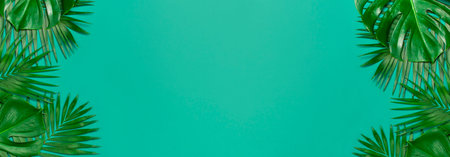 Creative minimal background with tropical leaves. Frame of tropical palm leaves and monstera leaf on blue emerald background. Flat lay, top view, copy space. Summer background, nature. Long format.の写真素材