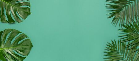 Creative minimal background with tropical leaves. Frame of tropical palm leaves and monstera leaf on blue emerald background. Flat lay, top view, copy space. Summer background, nature. Long format.の写真素材