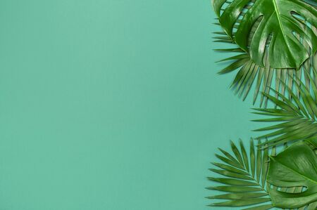 Creative minimal background with tropical leaves. Frame of tropical palm leaves and monstera leaf on blue emerald background. Flat lay, top view, copy space. Summer background, nature.の写真素材