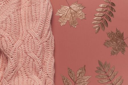 Flat lay autumn composition. Knitted woolen pink female sweater or plaid, golden dry leaves on burgundy brown background top view copy space. Fall concept. Fashion color, cozy autumn thing, clothes.の写真素材