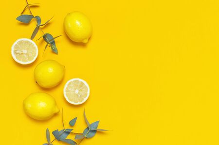 Ripe juicy lemons and green eucalyptus twigs on bright yellow background. Lemon fruit, citrus minimal concept. Creative summer food minimalistic background. Flat lay, top view, copy space.の写真素材
