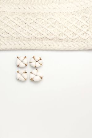 Flat lay autumn composition. Knitted woolen light beige sweater or plaid, cotton flowers on white background top view copy space. Autumn, fall concept. Knitwear texture.の写真素材