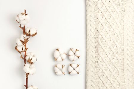 Flat lay autumn composition. Knitted woolen light beige sweater or plaid, cotton flowers on white background top view copy space. Autumn, fall concept. Knitwear texture.の写真素材