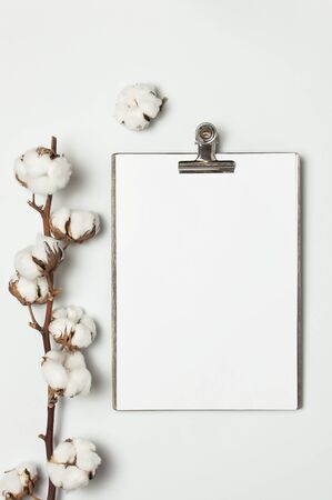 Blank white paper with folder and metal clothespin, cotton branch on gray background top view flat lay copy space. Decorative plant branch, flowers composition, creative desktop mockup Minimal style.の写真素材