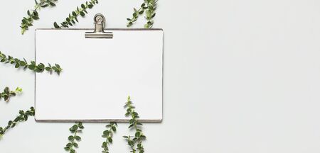 Blank white paper with folder and metal clothespin, spring green twigs of plants on gray background top view flat lay copy space. Decorative plant branch, flowers composition mockup Minimalistic style.の写真素材