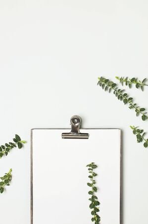 Blank white paper with folder and metal clothespin, spring green twigs of plants on gray background top view flat lay copy space. Decorative plant branch, flowers composition mockup Minimalistic style.の写真素材
