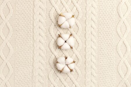 Flat lay autumn composition. Cotton flowers on a background of knitted beige woolen sweater or plaid top view copy space. Autumn, fall concept. Cozy lifestyle details.の写真素材