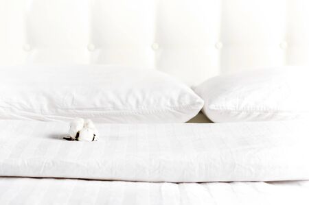 Soft white quilted pillow and cotton flower in bed on the background of white leather quilted headboard. Clean pillow, part of bed close-up, comfort. Quilted headboard background, bedding mockup.の写真素材