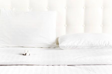 Soft white quilted pillow and cotton flower in bed on the background of white leather quilted headboard. Clean pillow, part of bed close-up, comfort. Quilted headboard background, bedding mockup.の写真素材