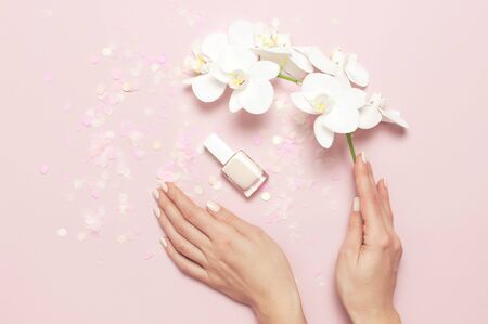 Woman's hands with gentle manicure hold branch of White Phalaenopsis orchid flowers on pastel pink background with festive confetti top view flat lay. Tropical flower. Holiday Women's Day Flower Card.の写真素材
