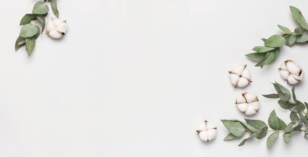 Flat lay flowers composition. Frame made of cotton flowers and fresh eucalyptus twigs on light gray background. Top view, copy space. Delicate white cotton flowers. Floral background, greeting card.の写真素材