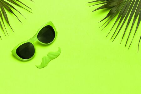 Creative party decoration concept. Green mustache, Sunglasses, props for photo booths, palm leaves on green background top view flat lay copy space. Father's day, Men's health awareness month.の写真素材